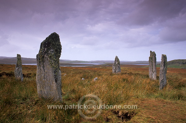 Callanish III, Lewis, Scotland - Lewis, Ecosse - 18701