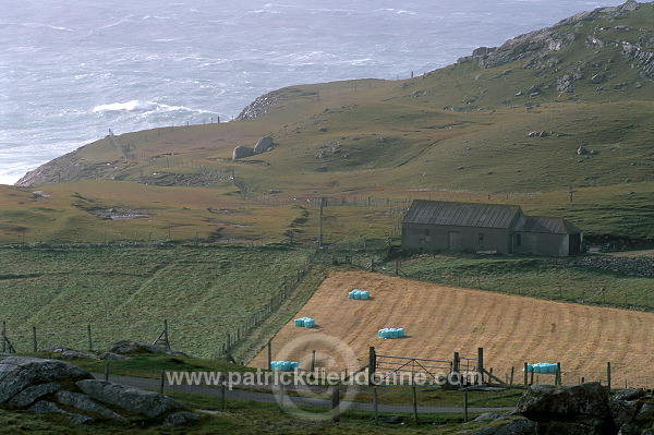 Crofts, west coast, Lewis, Scotland -  Lewis, Ecosse - 18712