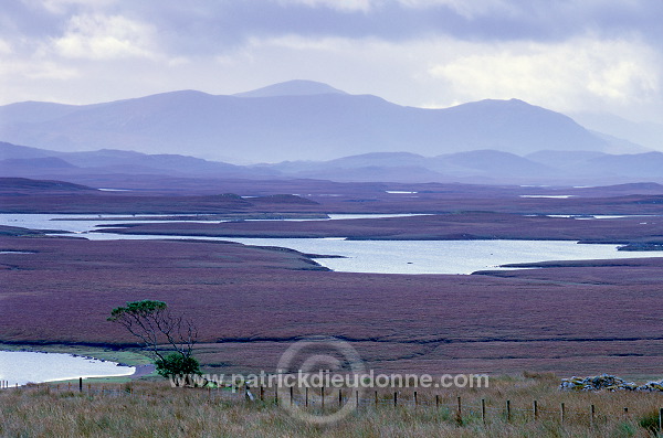 Moorland near Achmore, Lewis, Scotland - Lewis, Ecosse - 18738