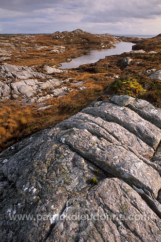 Lewisian gneiss, Lewis, Scotland - Lewis, Ecosse - 18776
