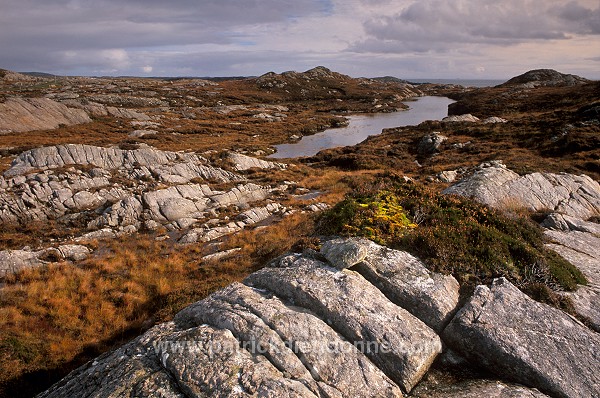 Lewisian gneiss, Lewis, Scotland - Lewis, Ecosse - 18777