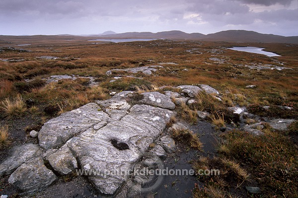 Lewisian gneiss, Lewis, Scotland - Lewis, Ecosse - 18778