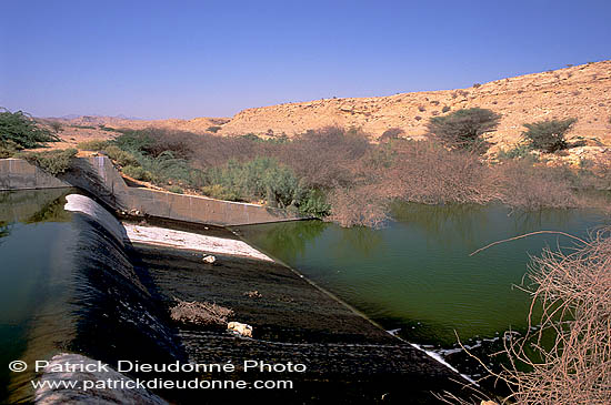 Site - Al Ansab lagoons - birdwatching site - Site d'observation