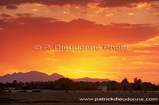 Sohar, Batinah. Red Sunset - Couchant à Sohar, Batinah  (OM10237)