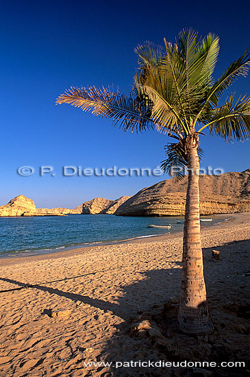 Muscat. Beach at Qantab, near Muscat - Plage à Qantab, Oman (OM10512)