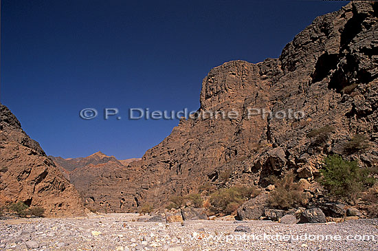 Wadi in eastern Hajar, S. of Muscat -wadi, Hajar oriental, Oman (OM10267)