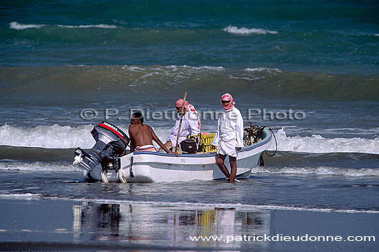 Batinah region. Fishermen - Retour de pêche, OMAN (OM10524)