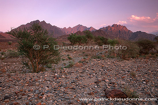 Landscape near Rustaq -  Paysage près de Rustaq, OMAN ( OM10024)