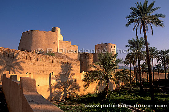 Rustaq fort, Batinah region - Fort de Rustaq, OMAN (OM10130)