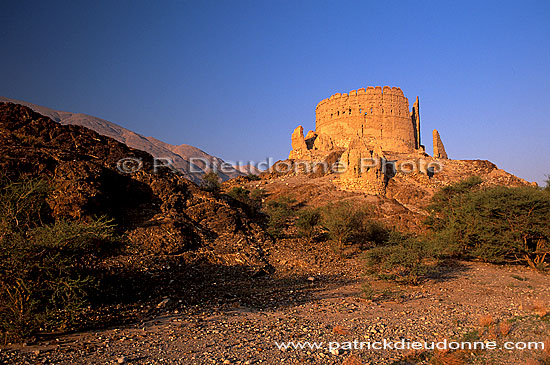 Rustaq (Batinah). Ruined watchtower - Tour en ruines, OMAN (OM10142)