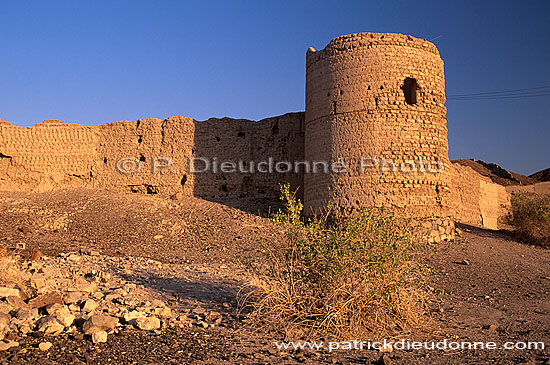 Bahla earthen ramparts, Dhahirah - remparts de Bahla, Oman (OM10159)