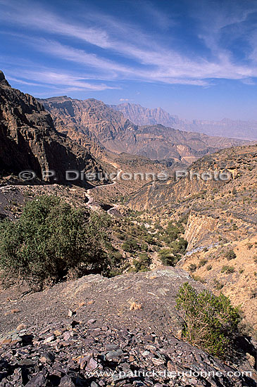 Wadi Bani Awf, Djebel Akhdar - Vallée Bani Awf, OMAN (OM10216)
