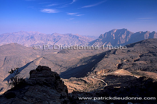 Wadi Bani Awf, Djebel Akhdar - Vallée Bani Awf, OMAN (OM10220)