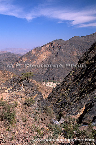 Hat, Wadi Bani Awf, Djebel Akhdar - Village de Hat, OMAN (OM10225)