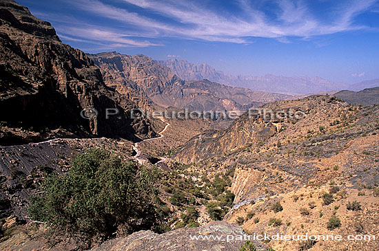 Wadi Bani Awf, Djebel Akhdar - Vallée Bani Awf, OMAN (OM10221)