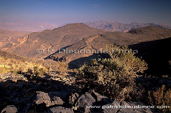 Wadi Bani Awf, Djebel Akhdar - Vallée Bani Awf, OMAN (OM10232)