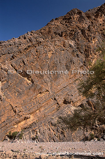 Wadi Bani Awf, Djebel Akhdar - Vallée Bani Awf, OMAN (OM10365)