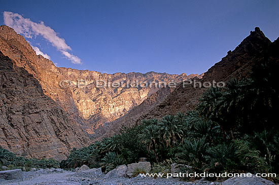 Wadi Bani Awf, Djebel Akhdar - Vallée Bani Awf, OMAN (OM10364)