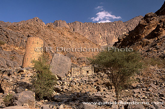 Wadi Bani Awf, watchtower - Tour de garde, Bani Awf, OMAN (OM10369)
