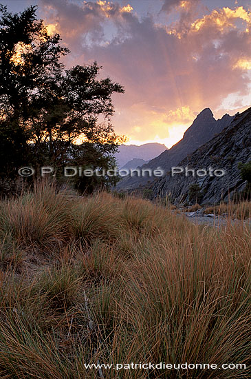 Wadi Bani Awf, Djebel Akhdar - Vallée Bani Awf, OMAN (OM10359)