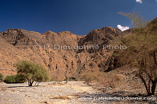 Wadi Bani Kharus, Djebel Akhdar - Vallée Bani Kharus, OMAN   (OM10170)
