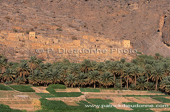 Ghul ancient village - Vieux village de Ghul, Dahirah, OMAN (OM10442)