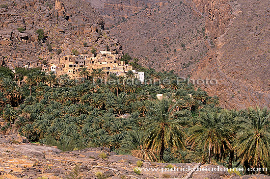 Misfat, traditional village, djebel Akhdar - Misfat, village, OMAN (OM10178)