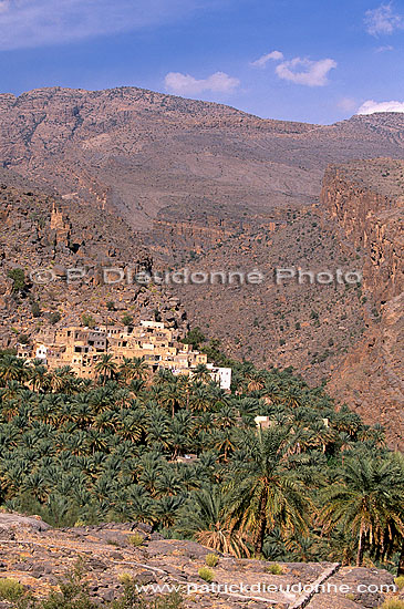 Misfat, traditional village, djebel Akhdar - Misfat, village, OMAN (OM10179)