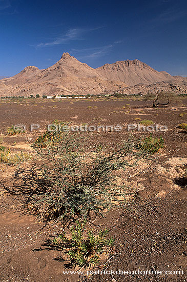 Tanuf. Village near Tanuf, typical landscape - Près de Tanuf (OM10275)