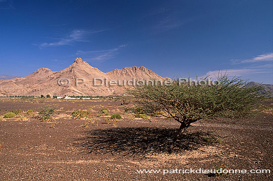 Tanuf. Village near Tanuf, typical landscape - Près de Tanuf (OM10276)