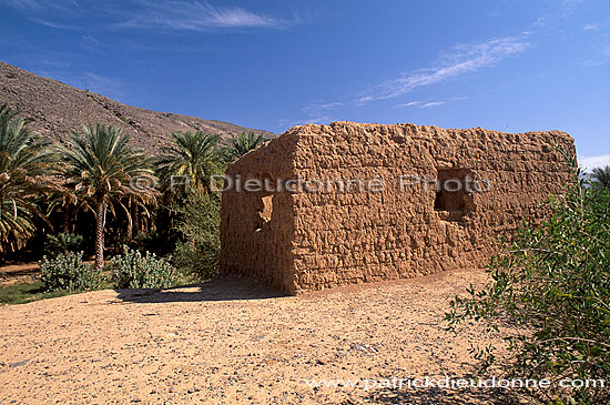 Tanuf. Palm grove near Tanuf -  Palmeraie près de Tanuf, Oman (OM10290)