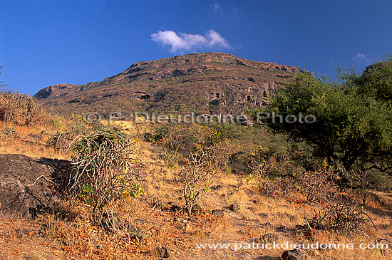 Dhofar. Ayn Hamran, Dhofar region. - Ayn Hamran, OMAN (OM10343)