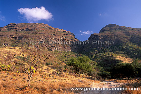 Dhofar. Ayn Hamran, Dhofar region. - Ayn Hamran, OMAN (OM10344)