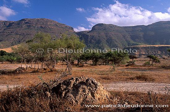 Dhofar. Ayn Hamran, Dhofar region. - Ayn Hamran, OMAN (OM10345)
