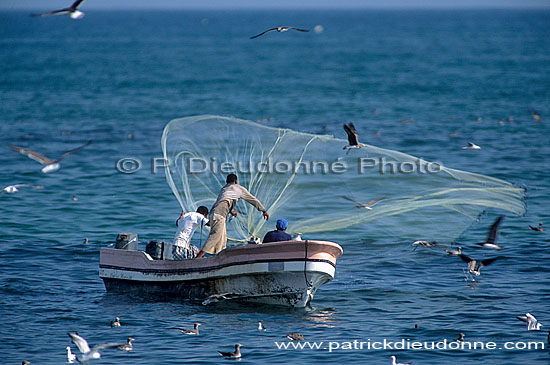 Mughsayl, Dhofar. Fishermen at work - Pecheurs au travail, Oman (OM10325)