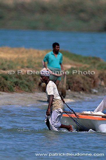 Salalah, fishermenr - Salalah, pêcheurs, OMAN (OM10523)