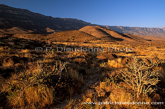 Wadi Hanna, Dhofar - Wadi Hanna, dans le Dhofar, OMAN (OM10081)