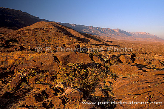 Wadi Hanna, Dhofar - Wadi Hanna, dans le Dhofar, OMAN (OM10083)