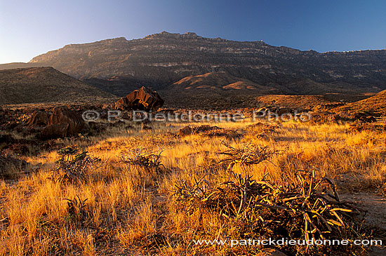 Wadi Hanna, Dhofar - Wadi Hanna, dans le Dhofar, OMAN (OM10089)