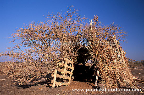 Al Mudaybi, Sharqiyah. Gravel plains - Plaine, Al Mudaybi, Oman (OM10337)