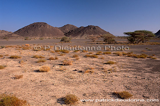 Al Mudaybi, Sharqiyah. Gravel plains - Plaine, Al Mudaybi, Oman (OM10340)