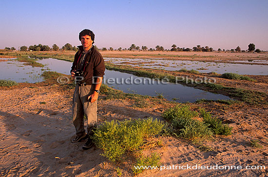 Muntasar oasis, birdwatching site - Site ornithologique, OMAN (OM10475)