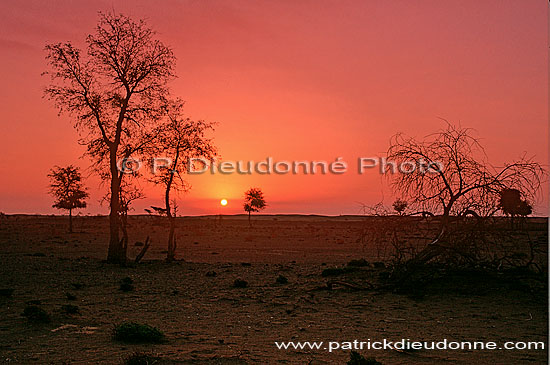 Sinaw, Sharqiyah. Sunset in the half-desert - Couchant, Oman (OM10326)