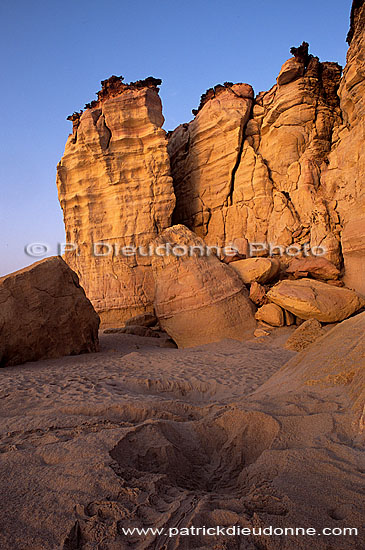 Ras al Jinz, Green Turtle reproduction site - Ras al Jinz (OM10202)