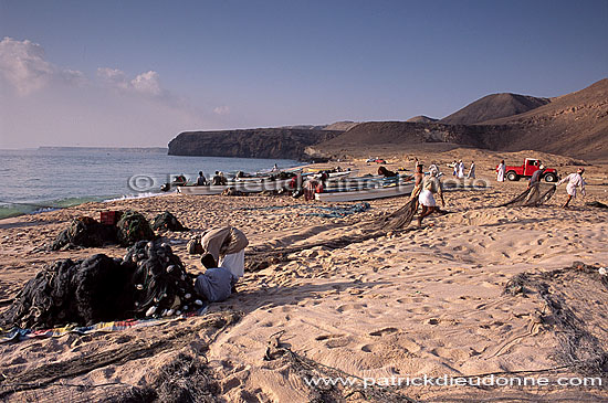 Fishermen and nets, Tuna fishing - Pêcheurs de thon, OMAN  (OM10193)