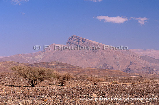 Sur. Landscape SW of Sur - Paysage au SO de Sur, OMAN (OM10520)