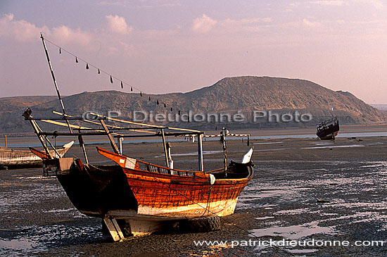 Sur (Sour). Dhows, low tide - Boutres, marée basse,  OMAN (OM10540)