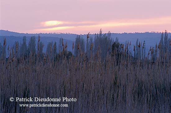 Greece, Lesvos: Dipi Larssos marshes - Lesbos, Dipi Larssos 1143