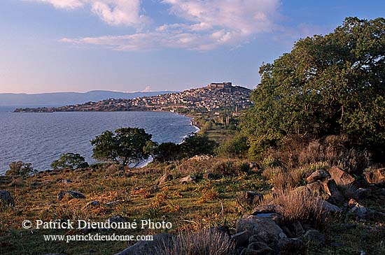 Greece, Lesvos: Molivos - Lesbos: Molivos 11439