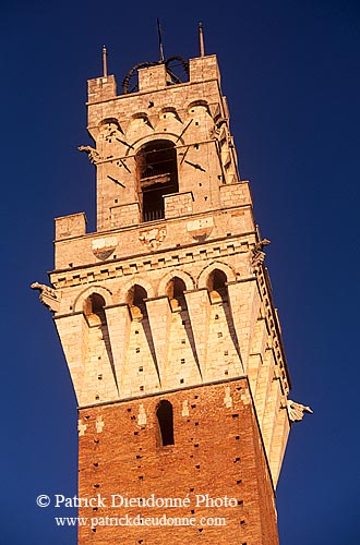Tuscany, Siena, Torre del Mangia -  Toscane, Sienne, palais  12541